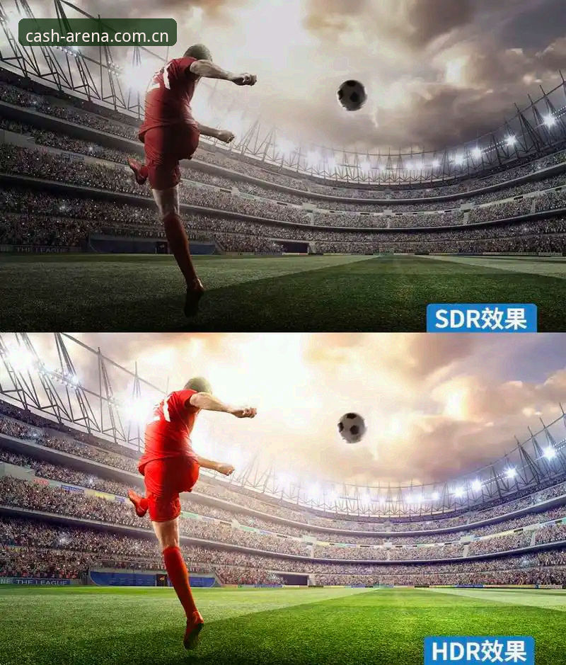 世界杯观赛体验大对比：约旦土耳其球迷签证困境vs皇冠A7Z3平台畅通观赛